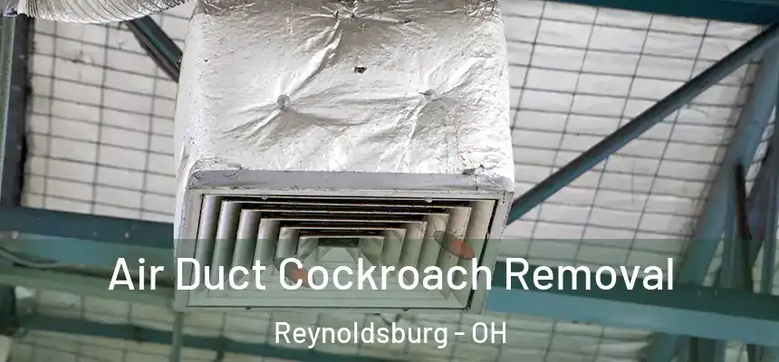 Air Duct Cockroach Removal Reynoldsburg - OH
