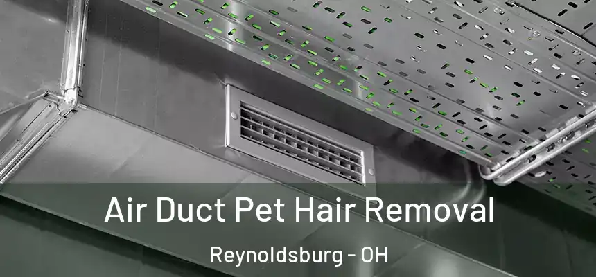  Air Duct Pet Hair Removal Reynoldsburg - OH