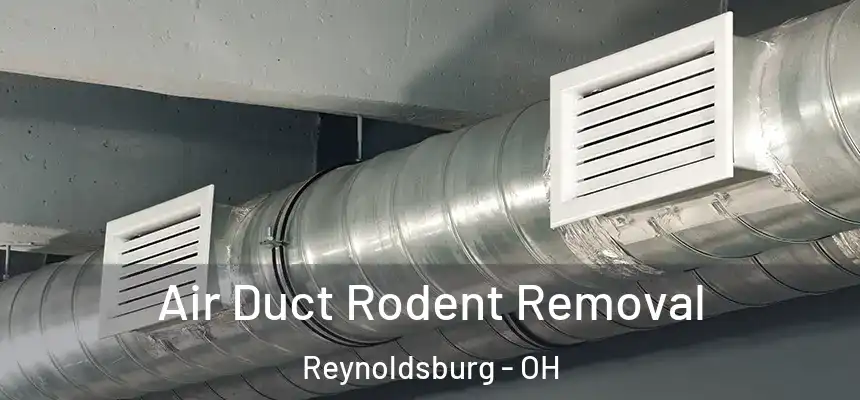  Air Duct Rodent Removal Reynoldsburg - OH