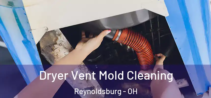  Dryer Vent Mold Cleaning Reynoldsburg - OH