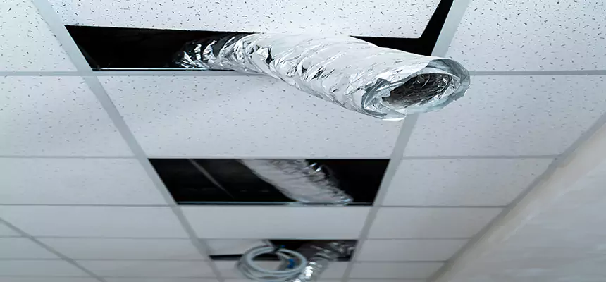 Our Air Duct Pet Hair Removal Services in Reynoldsburg, OH