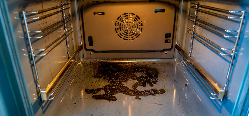 Our Dryer Vent Mold Cleaning Services in Reynoldsburg, OH