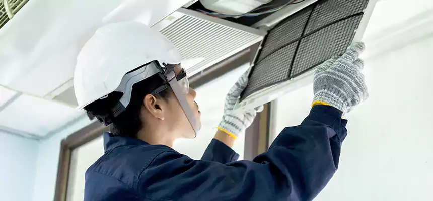 Our Mold & Mildew Removal from Air Ducts Services in Reynoldsburg, OH