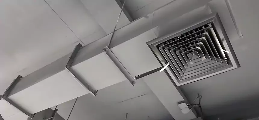 Our Pest Removal From Ducts Services in Reynoldsburg, OH