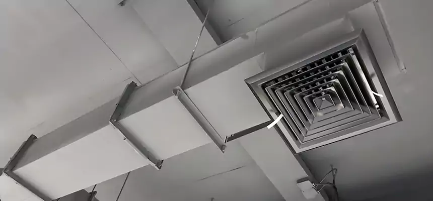 Our Rodent Droppings In Vents Services in Reynoldsburg, OH