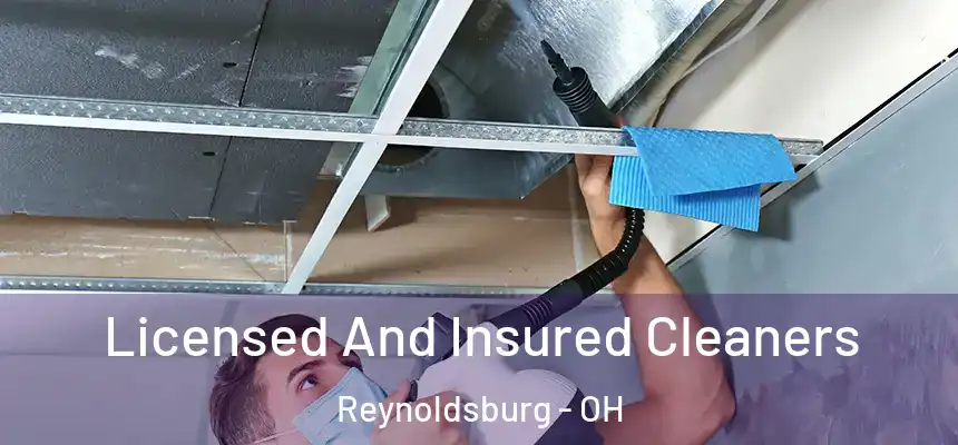  Licensed And Insured Cleaners Reynoldsburg - OH