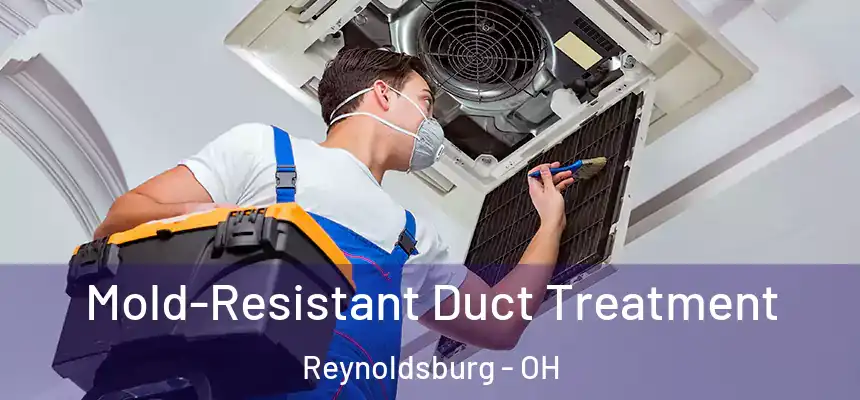  Mold-Resistant Duct Treatment Reynoldsburg - OH
